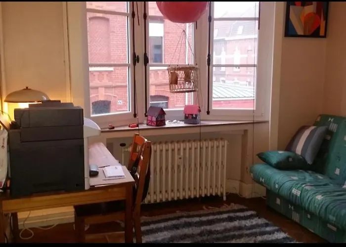 La Roubaisienne De Julia Appartement Roubaix