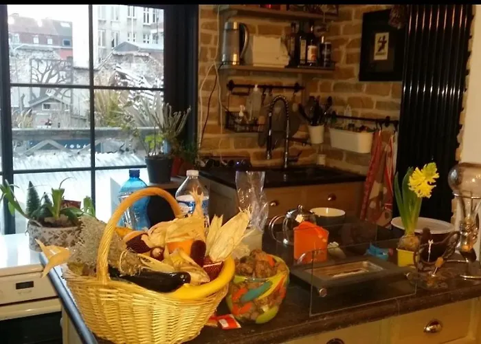 Appartement La Roubaisienne De Julia *